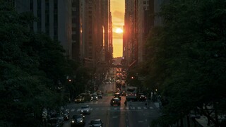 Catch Of The Day (2025)