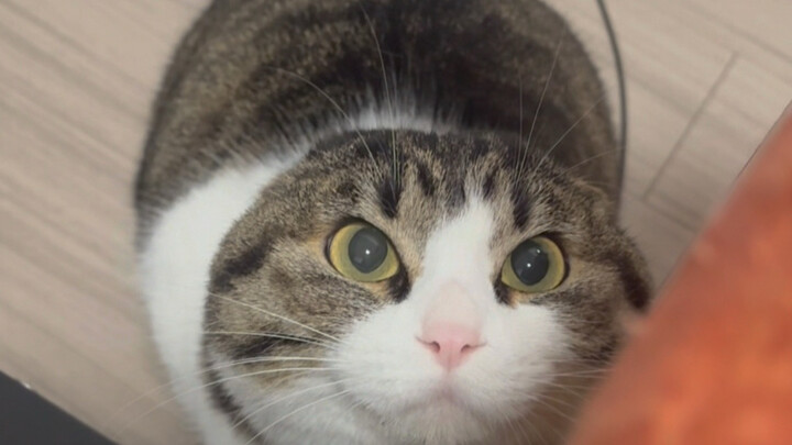 Quay một mạch từ đầu đến cuối khi bước vào bàn làm việc!