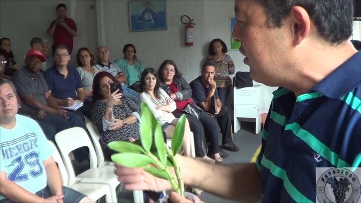 ORQUIDEAS, VASOS E SUBSTRATO