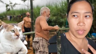 Papz birthday | Preparation for New Year | Province life with foreigners