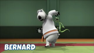 BERNARD BEAR || JUDO - CARTOON CHILDREN