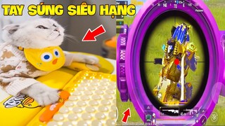 Thú Cưng Vlog | Mèo Và Mun Siêu Quậy #11 | Mèo thông minh vui nhộn | Smart cat funny pets