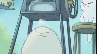 “有趣治愈的事情当然要第一时间分享给你～”