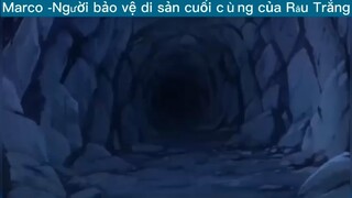 Marco người bảo vệ di sản cuối cùng của Râu trắng