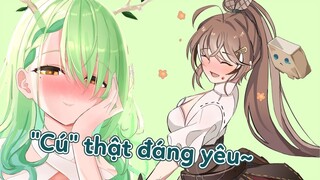 【Hololive Vietsub】Mẹ thiên nhiên để mắt tới chiếc cú đáng yêu :3