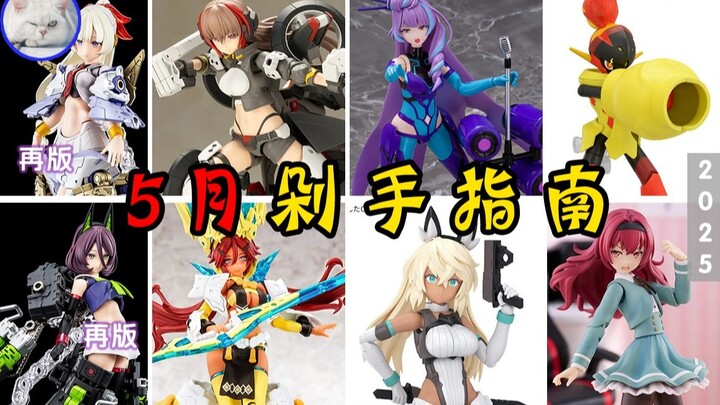 【鱼豆腐】2025年5月剁手指南——天钿女命阳光丨 驱狼九式丨瑟斯媞丨美云·金努梅尔丨小石川艾玛丨红莲铠骑 新品资讯 官图展示