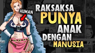 FETIS ANEH PEMBUAT ONE PIECE