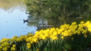 如何知道对方微信聊天内容(苹果手机怎么监视对方微信)⏩查询➕微信6435148⏪