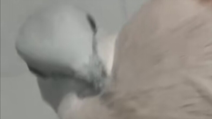 Legenda Tawa Merpati: Menyapu Lantai