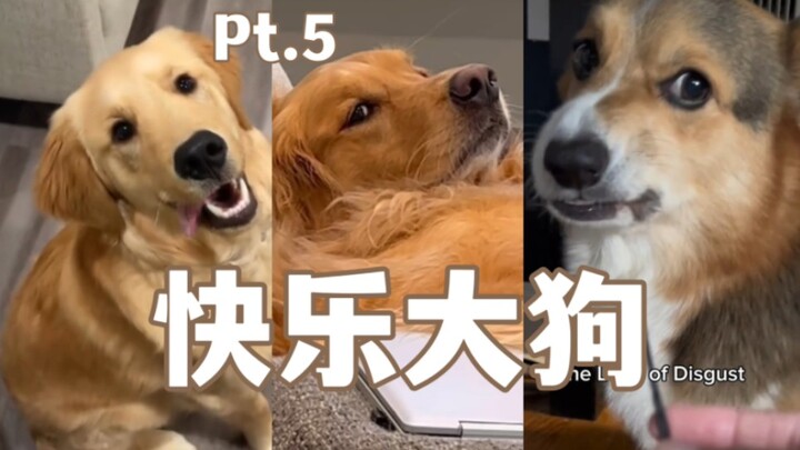 Happy Big Dog Compilation Pt. 5