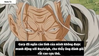 Top 7 Lão Già Trâu Trong One Piece #30- 5