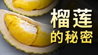 Is it expensive? A video explains the story behind durian's rise to fame