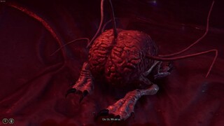 Baldur's Gate 3-Got Me A Pet Brain