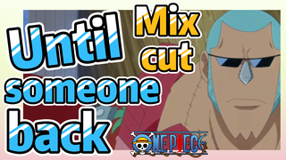 [ONE PIECE]   Mix cut |  Until someone back