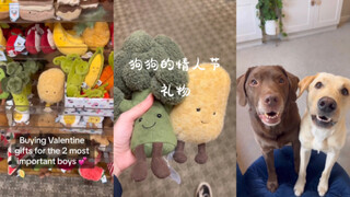 给两个宝宝的情人节礼物🎁