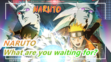 NARUTO|What are you waiting for? Put on your forehead protectors and feel the feast of battles!