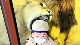 Jangan membelakangi kucing-kucingan, atau kamu akan menjadi santapan lezatnya.