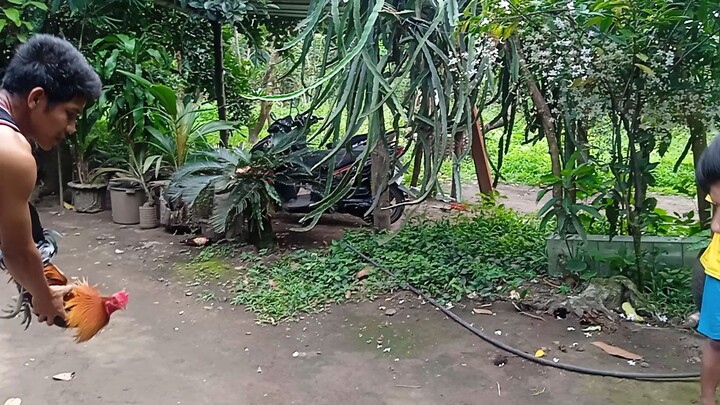 wag nyo na pansinin yung maingay na nag vivideo
