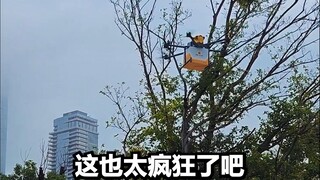 Tiongkok Hidup di Masa Depan