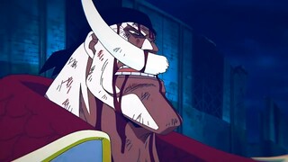 One Piece is actually real