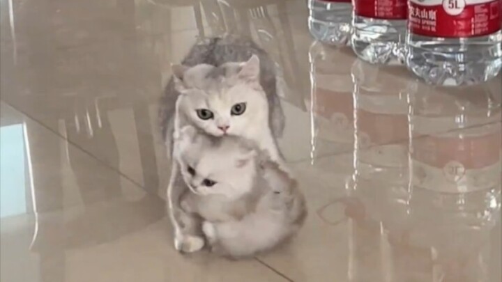 Đưa cho tôi làm gì, tôi không muốn, tôi không muốn