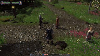 The Lord of the Rings Online, prologue for Beorning