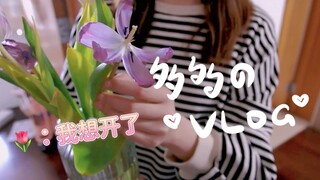 突如其来的假期~【多多のVLOG】