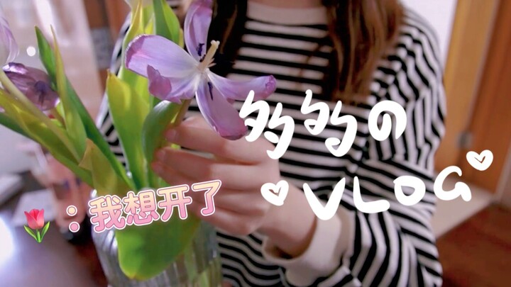 突如其来的假期~【多多のVLOG】