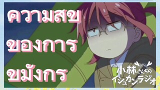 ความสุข ของการ ขี่มังกร