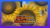 Digimon|【Tamers】Inject Song-Sunflower