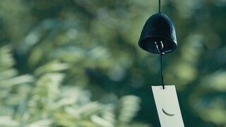 【空镜素材】镜花水月-楼角风铃、水面莲花、树影斑驳、莲塘渡鹤影、红蜻蜓点绿荷心