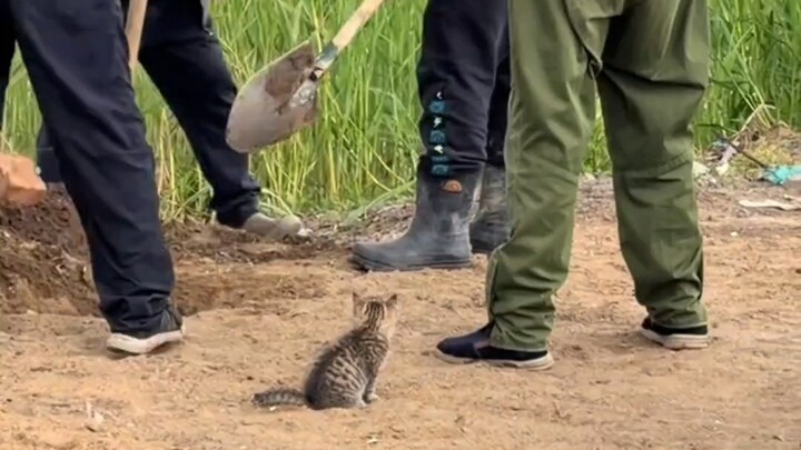 Dễ thương quá đi mất