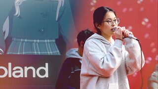 This "Spring Shadow" must have a keyboard | [Remix] Suzhou Middle School 120th Anniversary Celebrati
