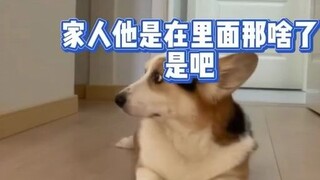 لم أكن أتوقع أبدًا أن تكون تعابير Xiugou غنية جدًا، لقد استمتعت حقًا