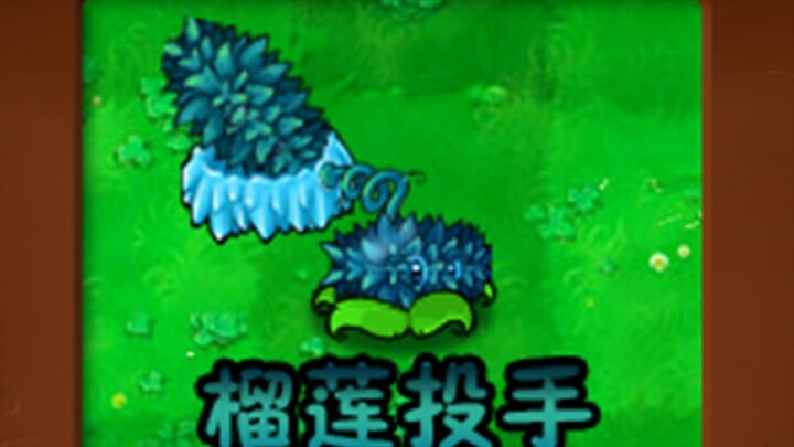 New Plant: Durian Pitcher