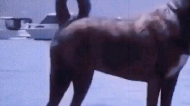 ฉันไม่ได้ตัดต่อโดยไม่ได้ตั้งใจ ฉันตั้งใจทำแบบนั้นเลย!