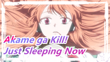 [Akame ga Kill!] She Is Just Sleeping Now
