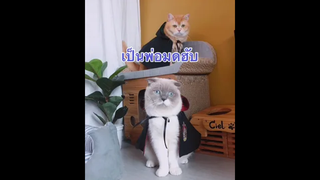 ตอนใส่ชุดพ่อมดให้น้องๆ