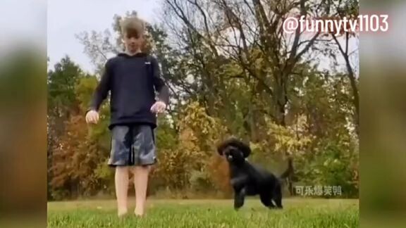 #cuteness #viralsvideos