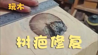树疤修复