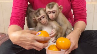 So Pity Baby Liheang Was Bite By Sono   Babies Not Like To Eat Orange Fruits Today
