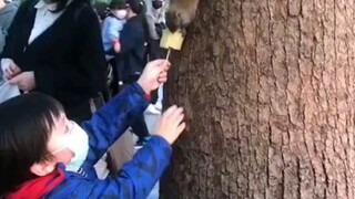 松鼠：谢谢，那我就不客气啦