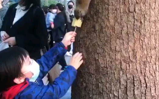 松鼠：谢谢，那我就不客气啦