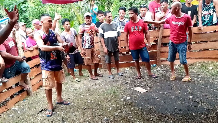 pista ng barangay