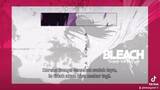 Scene Puisi Byakuya Kuchiki//Ending, Bleach Thousand Year Blood War//Episode 6 - Api