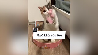 Reply to  làm một phiên bản quá khứ của Ber cho mng xem nha 😆 lần này thiếu 1 thằng béo đứng sau meo SuThatLa trending
