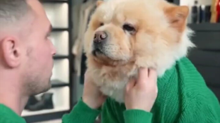 Setiap hari sebelum keluar, si abang selalu berdandan dengan sangat teliti, bahkan tak lupa mendanda