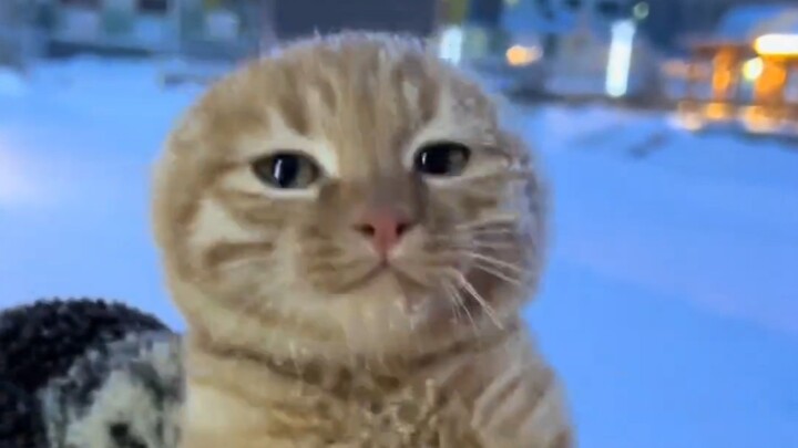 Little Oldie in the Snowy Fields～