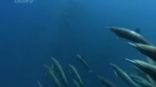 Wonderful_Chill_Out_Music_-_The_Ocean