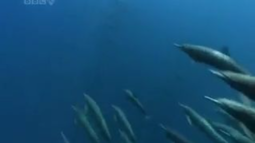 Wonderful_Chill_Out_Music_-_The_Ocean